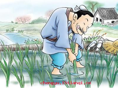 一举千里的故事_一举千里典故